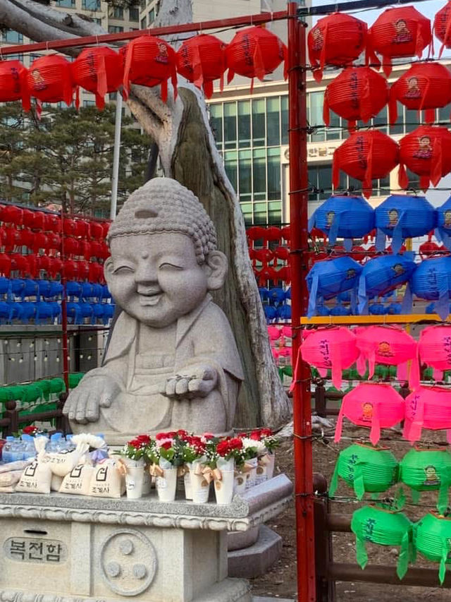 ✨💕Beautiful Jogyesa Temple✨💕Must Visit! 