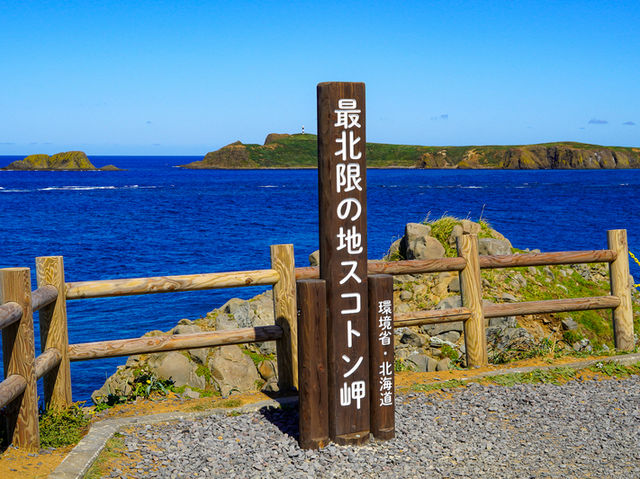 北の果てに立つ絶景スポット！スコトン岬で感じる地球の広さ🌍