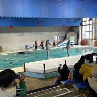 小樽旅行✈️おたる水族館🦭🐧🐬