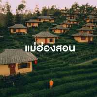 รวมที่พัก ที่เที่ยว 5 จังหวัด ต้อนรับฤดูฝนนี้ 🌧️💚