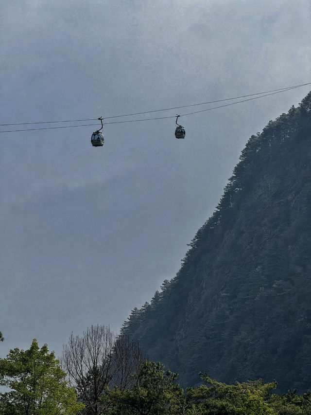 Floating into Spring: Riding the Cangshan Gantong Cable Car in Dali