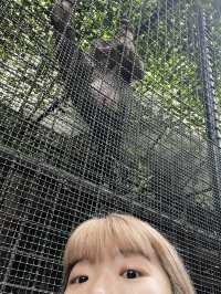 好玩程度破表！曼谷 Safari World 是我心中 No.1 的動物園