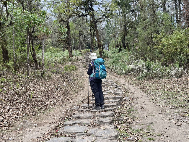 EP 1 Mardi Himal in Nepal 🇳🇵 
