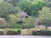 The Stunning views at Yangmingshan National Park, Taipei, Taiwan