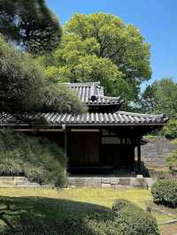 Hidden Gem in the Heart of Tokyo