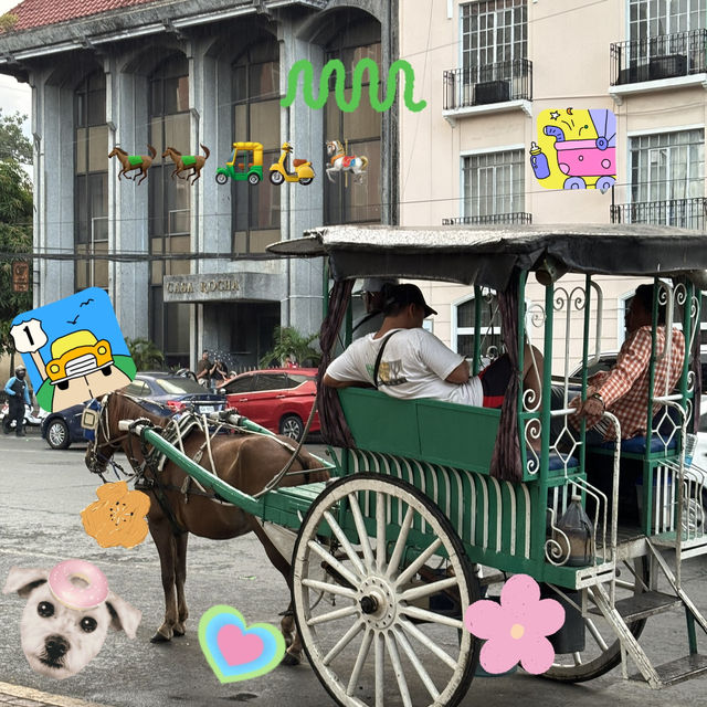 ⛪️✨🇵🇭Manila cathedral 📜🏛️