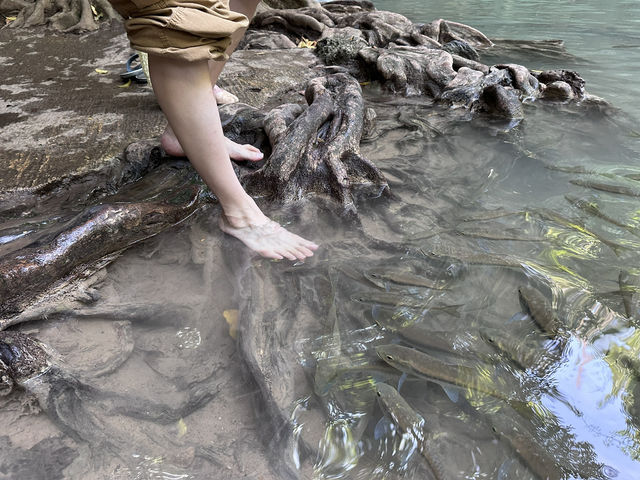 【Erawan Falls｜エラワンの滝】  “7段の滝を歩く旅。”エメラルドグリーンの楽園で、時間を忘れる。