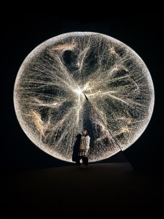 Busan Arte Museum: South Korea's Largest Art and Light Museum