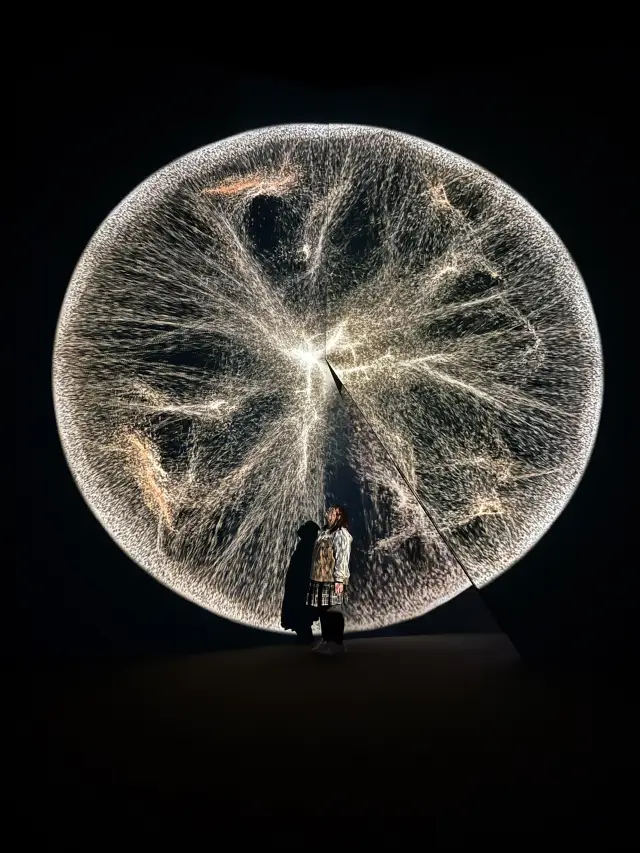 韓国最大のアートライトミュージアム - 釜山Arte Museum