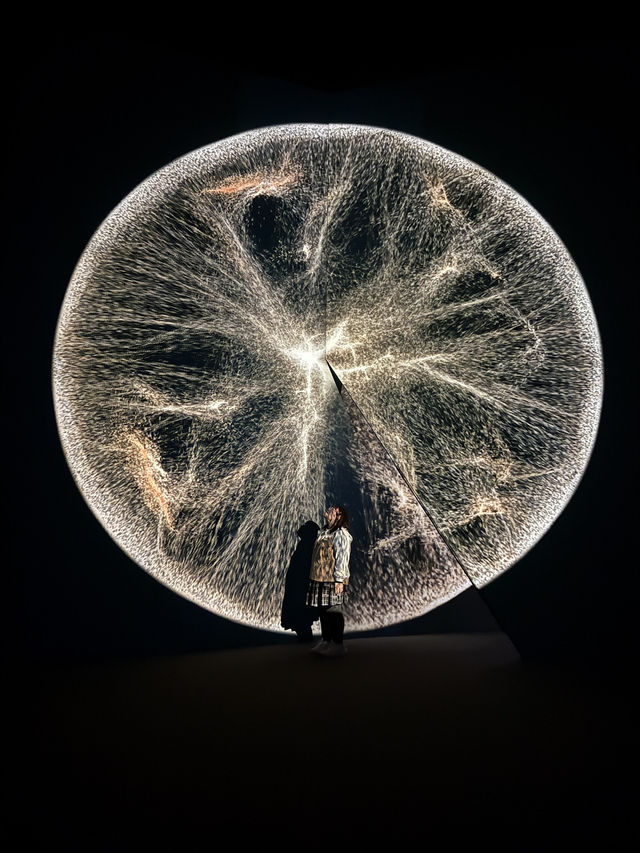 ｛韓國釜山｝ 韓國最大的藝術燈影博物館 - 釜山Arte Museum