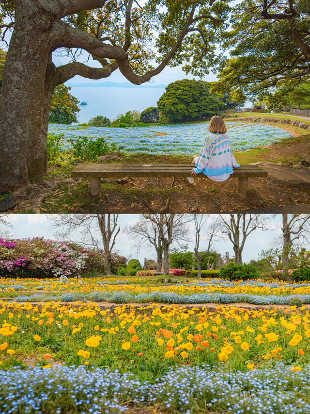 Nokonoshima Island Park สวรรค์คนรักดอกไม้ฟุกุโอกะ