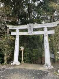 【佐賀景點推薦】 武雄神社⛩️｜穿越千年時光的巨木秘境