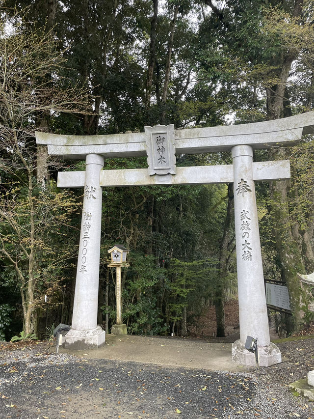【佐賀景點推薦】 武雄神社⛩️｜穿越千年時光的巨木秘境