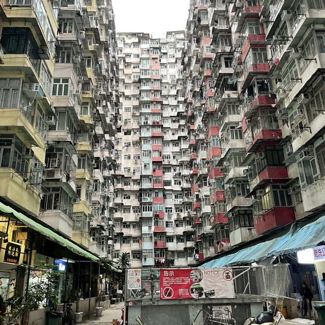 【🇭🇰香港】おすすめスポット3選