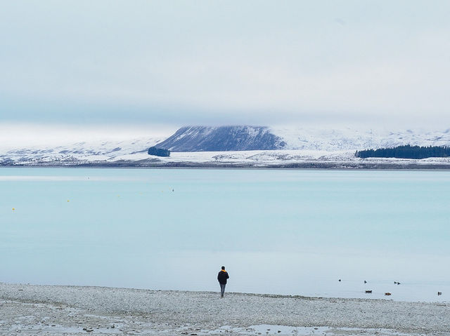 紐西蘭南島｜一夜大雪後的 Tekapo，比想像中還浪漫