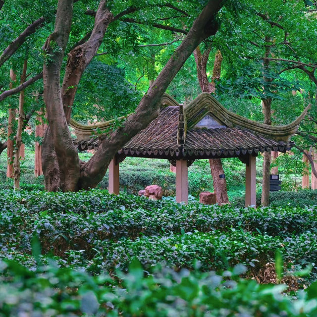 ​滿庭芳郊野花園 - 綠油油的世界