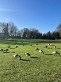 A day in Leicester
