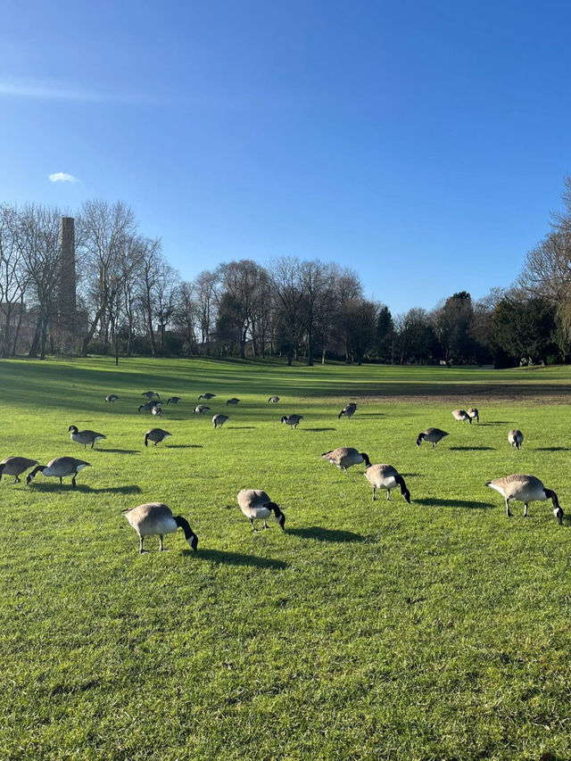 A day in Leicester