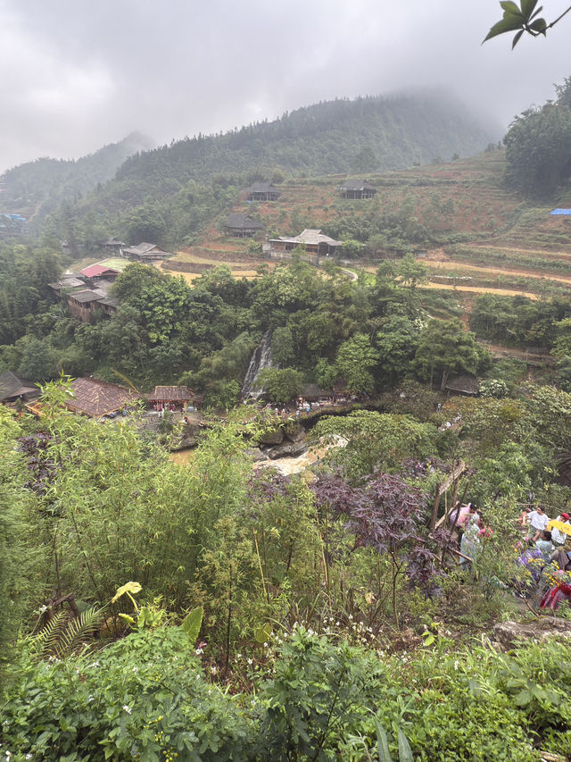 沙唄市必去的貓貓村