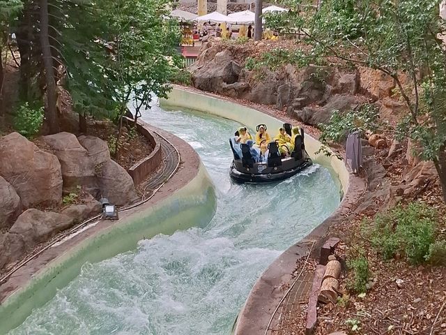歡樂的 POPA 王國🎠、魔法森林✨、冒險天堂🎢一次玩到瘋！