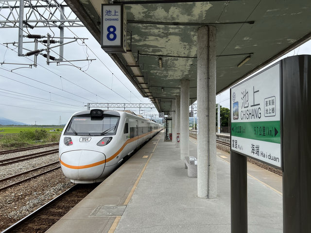 池上車站｜穀倉意象的日系木造車站，鐵道迷必遊的台東地標 