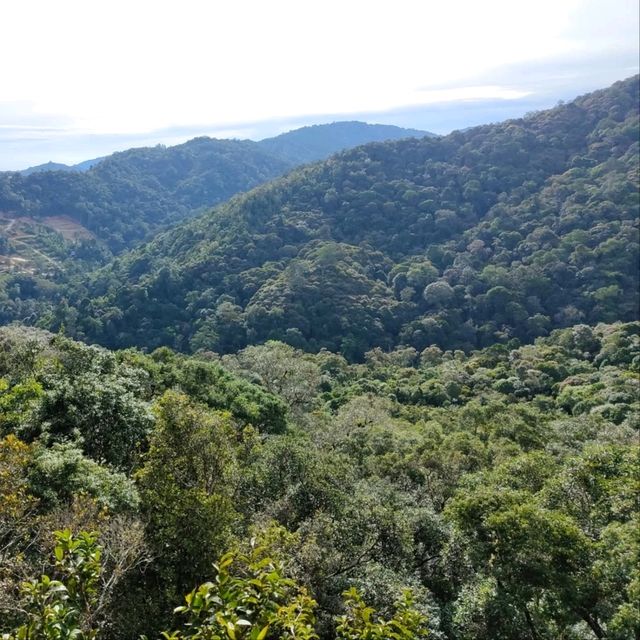 Hiking Feels, Sabah. Worth the Sweat