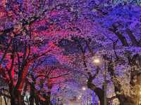 Ulsan Uncovered: Where Steel Meets Serenity