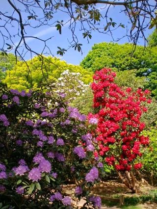 Sheringham Park, Norfolk – A Hidden Gem of the North Norfolk Coast