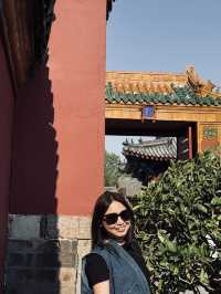 Shenyang - From 🏯Palace Steps to Street Snacks🥢🌆