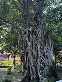 วัดเลขธรรมกิตติ์