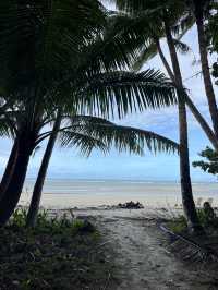 Daintree Rainforest