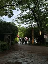 Nagoya Castle Park✨✨