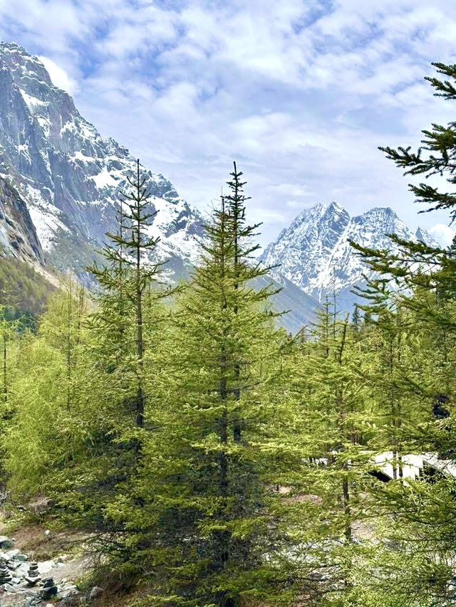Daocheng Yading Nature Reserve
