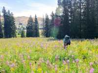Into the Wild: Hiking the Fairy Falls Trail at Yellowstone