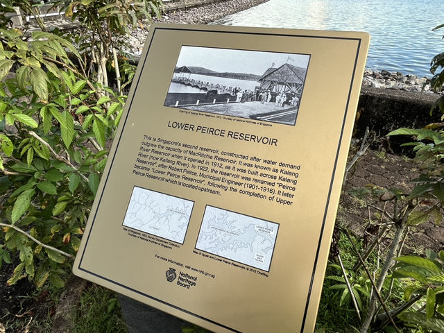 Lower Peirce Reservoir – Brisk Walks & Monkey Business