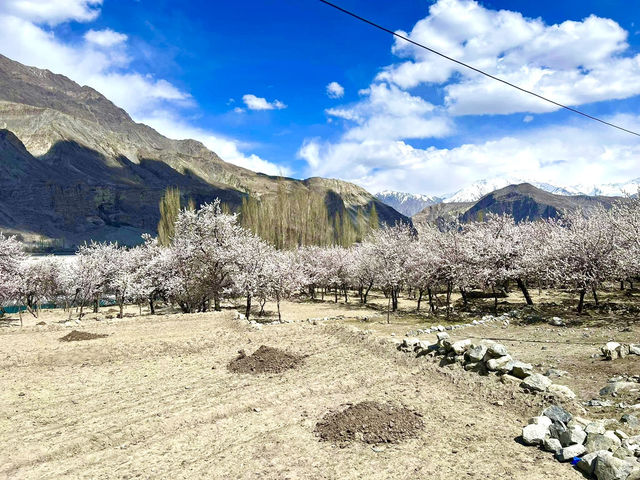  The soul of Pakistan—where history