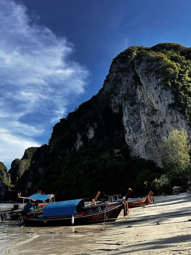 Phi phi paradise accommodations 