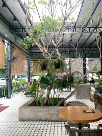 Northern Bites: Kedah Eats & Ipoh Plates! 