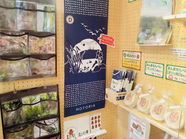 Tsuruoka City Nature Learning and Exchange Center Hotoria