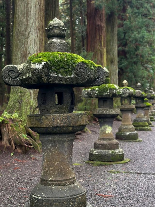 Spring Vibes & Shrine Feels