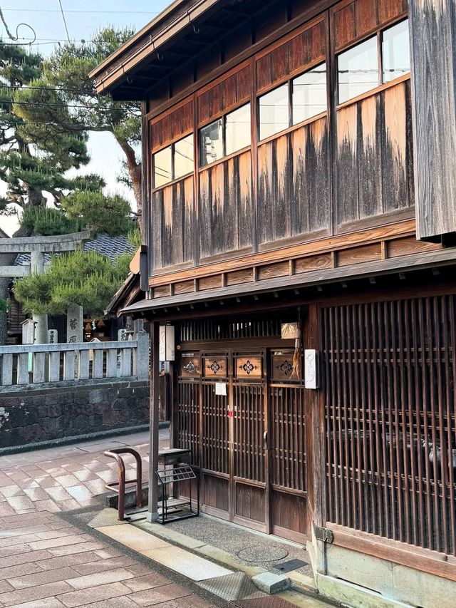 Spring Vibes in Higashi Chaya