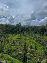 Ubud: Bali’s Soulful Heartbeat of Nature and Culture