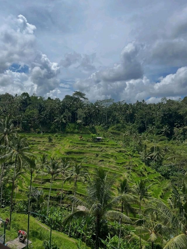 Ubud: Bali’s Soulful Heartbeat of Nature and Culture