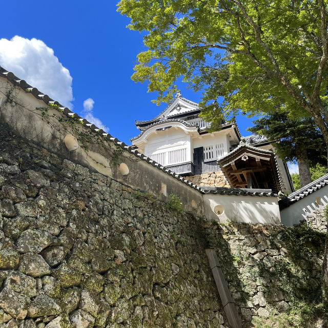 日本三大山城　【備中松山城】🏯　岡山