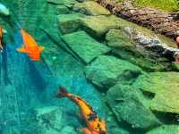 Montreal Botanical Garden – A Living Masterpiece in the Heart of the City