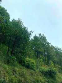 Discovering the Beauty of Sagada View Top