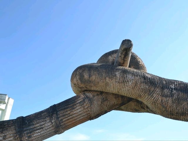久米島町ふれあい公園でのんびりお散歩