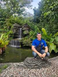 Itinerary: Sepilok Orang Utan Rehabilitation Centre - The Biggest Sanctuaries Orang Utan in Malaysia