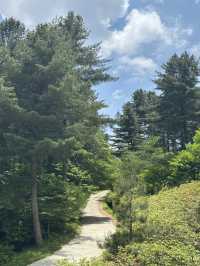 🧘‍♂️자연과 함께 심호흡하기 좋은 🌳 가평 자연 휴양림 봄여행지 추천 🌼