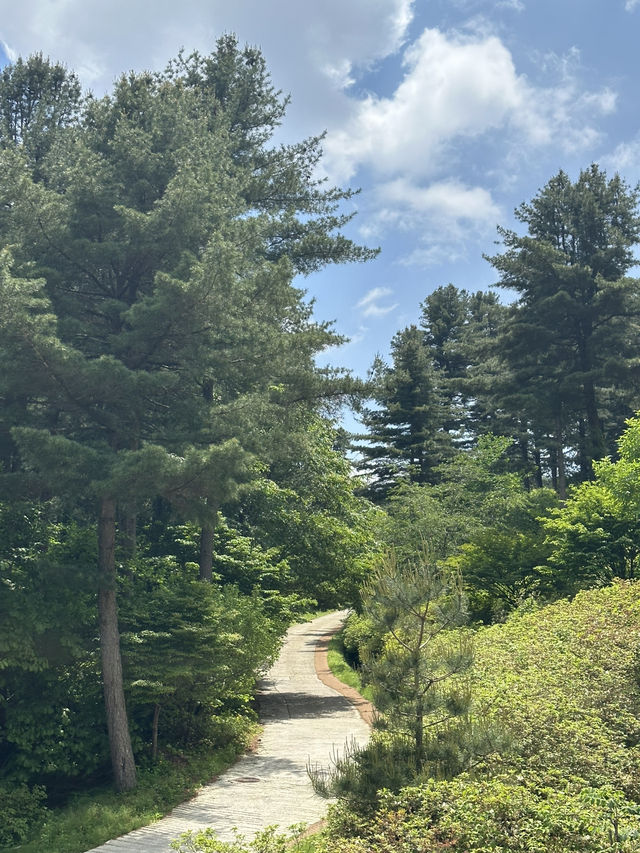 🧘‍♂️자연과 함께 심호흡하기 좋은 🌳 가평 자연 휴양림 봄여행지 추천 🌼